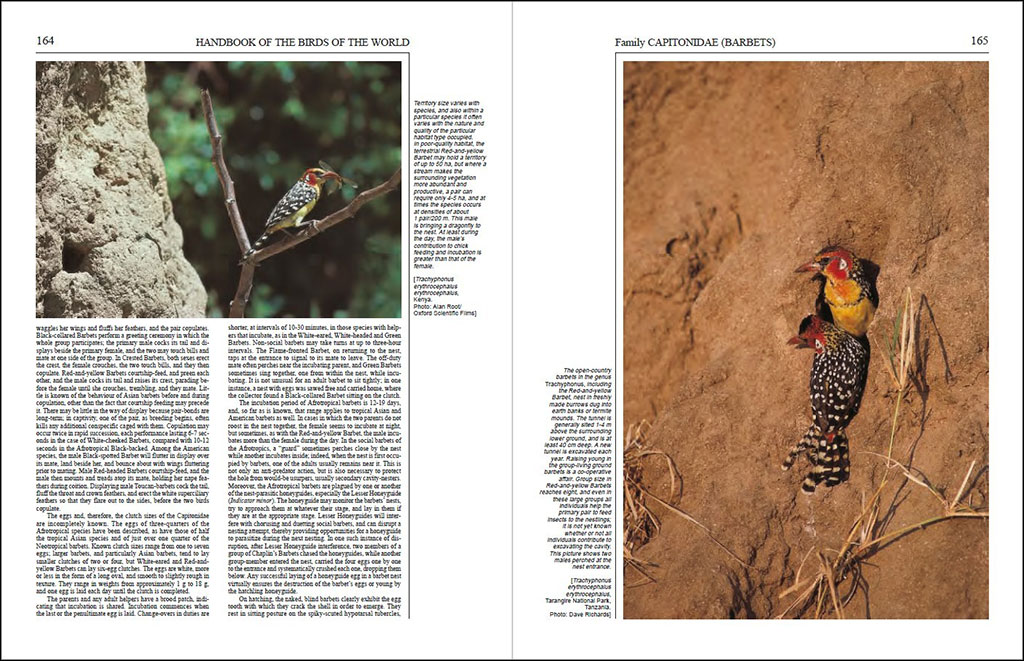 HANDBOOK OF THE BIRDS OF THE WORLD, VOL. 7. JACAMARS TO WOODPECKERS 3