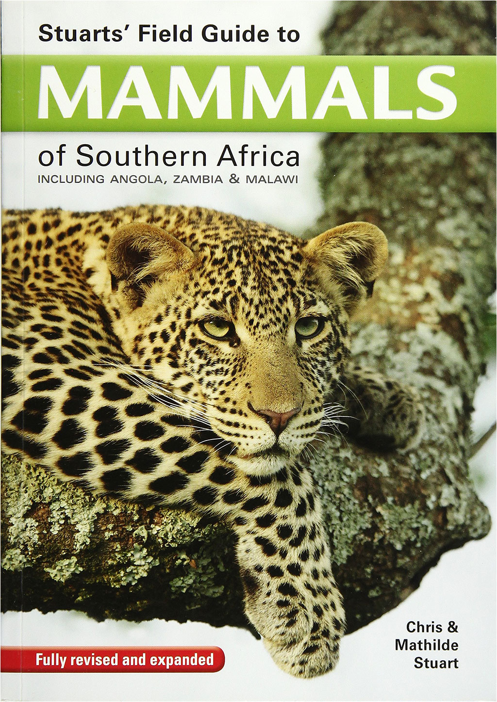 STUARTS' FIELD GUIDE TO MAMMALS OF SOUTHERN AFRICA