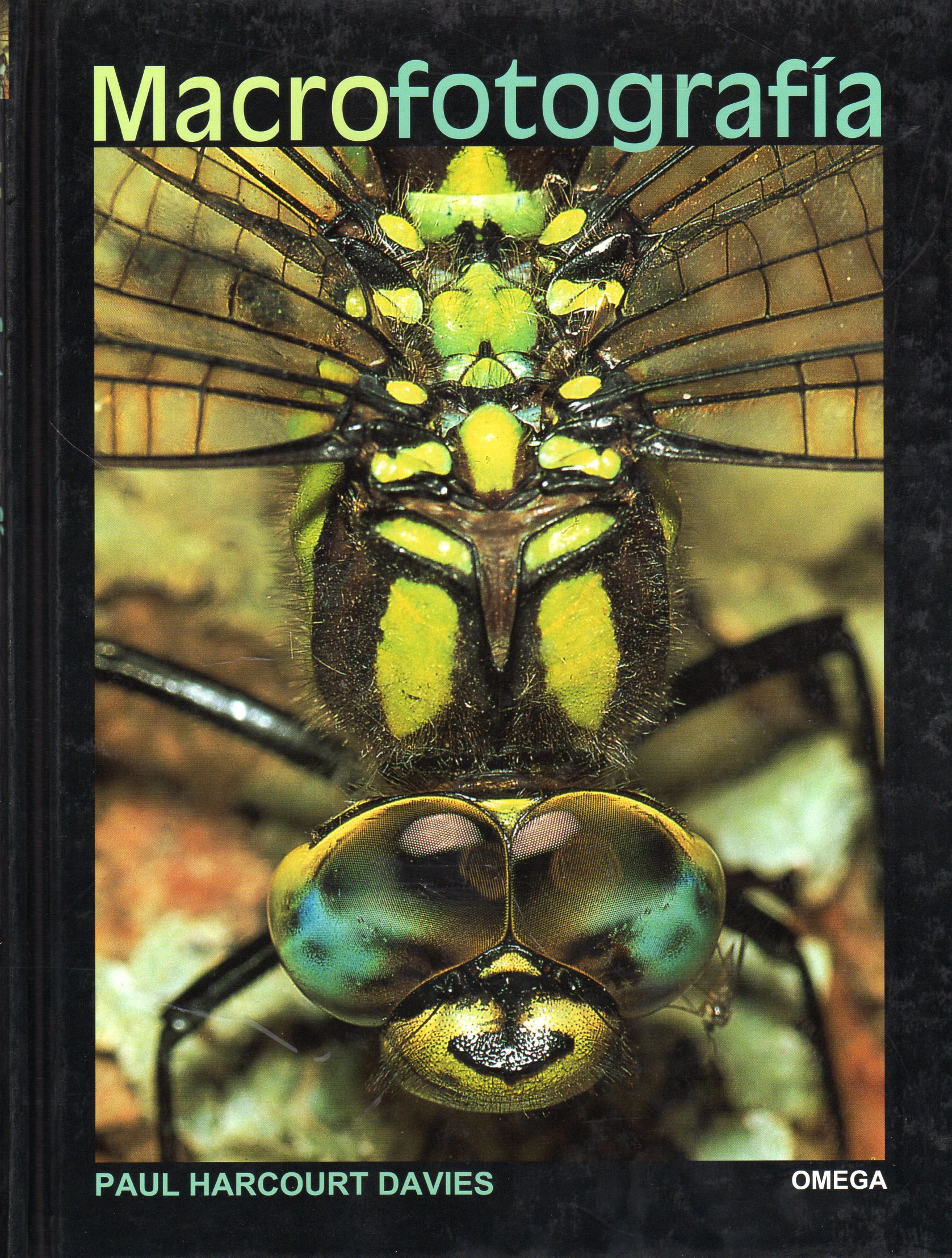 MACROFOTOGRAFÍA 1