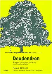 DEODENDRON. ÁRBOLES Y ARBUSTOS DE JARDÍN EN CLIMA TEMPLADO                                                                                             1