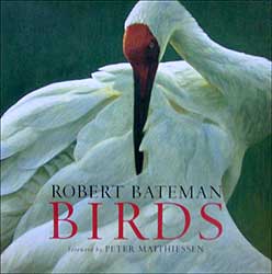 ROBERT BATEMAN. BIRDS