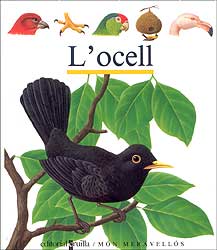 EL PÁJARO 1