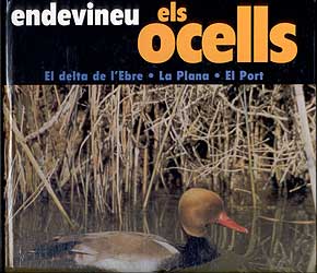 ENDEVINEU ELS OCELLS 1