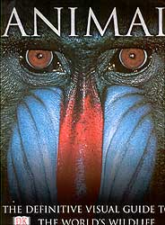 ANIMAL : THE DEFINITIVE VISUAL GUIDE TO WORLD'S WILDLIFE