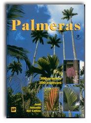 PALMERAS 2ª EDICIÓN