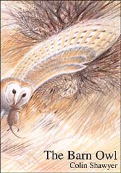 THE BARN OWL