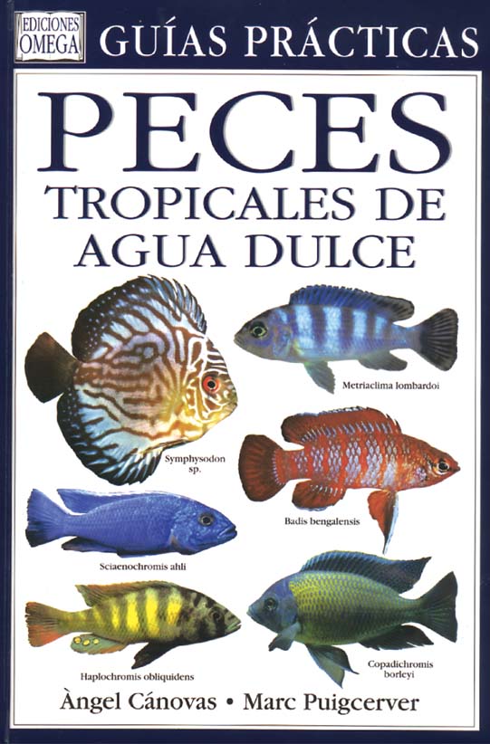 PECES TROPICALES DE AGUA DULCE