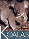 KOALAS