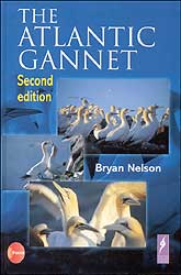 THE ATLANTIC GANNET 1