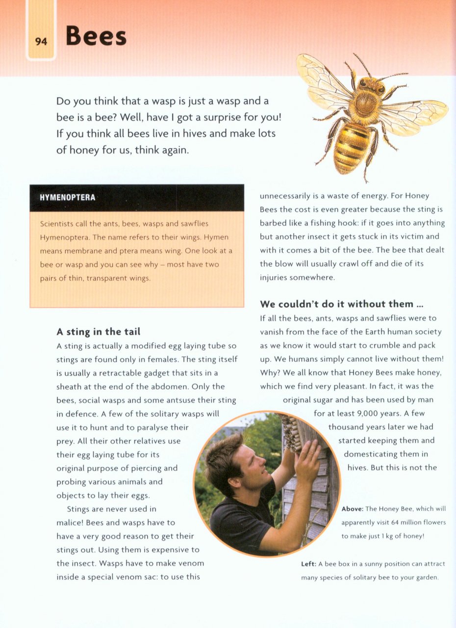 NICK BAKER'S BUG BOOK : DISCOVER THE WORLD OF MINI-BEASTS! 4