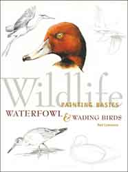 WILDLIFE PAINTING BASICS: WATERFOWL & WADING BIRDS 1