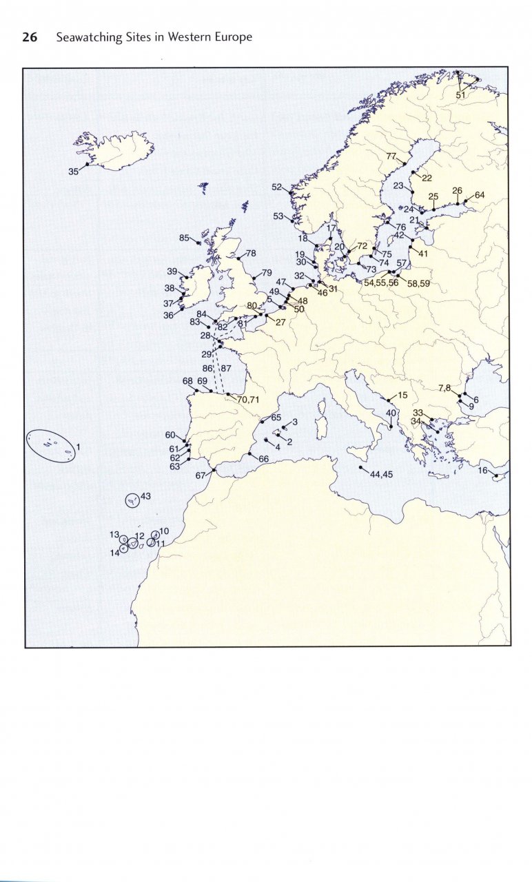 FLIGHT IDENTIFICATION OF EUROPEAN SEABIRDS 6
