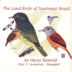 THE LAND BIRDS OF SOUTHEAST BRAZIL - DISC 2: FURNARIDS-SHARPBILL 1