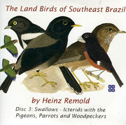 THE LAND BIRDS OF SOUTHEAST BRAZIL - DISC 3: OSCINES 1