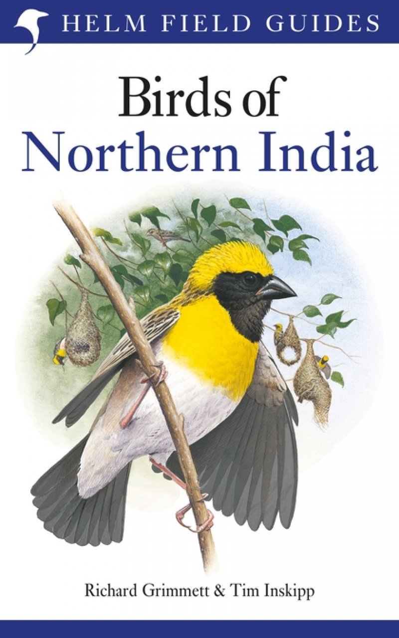 HELM FIELD GUIDES. BIRDS OF NORTHERN INDIA