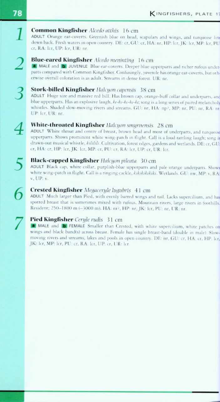 HELM FIELD GUIDES. BIRDS OF NORTHERN INDIA 2