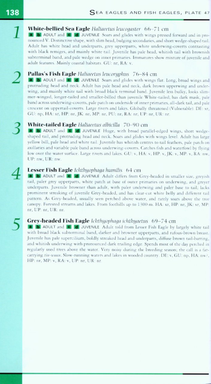 HELM FIELD GUIDES. BIRDS OF NORTHERN INDIA 4