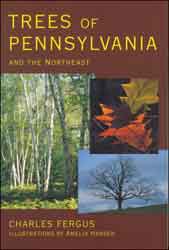 TREES OF PENNSYLVANIA AND THE NORTHEAST 1
