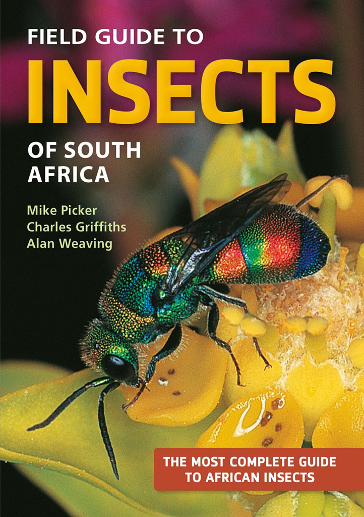 A FIELD GUIDE TO INSECTS OF SOUTH AFRICA. UPDATED 2004. THE FIRST COMPREHENSIVE GUIDE TO AFRICAN INSECTS WITH FULL-COLOUR PHOTOGRAPHS OF OVER 1200 SPE
