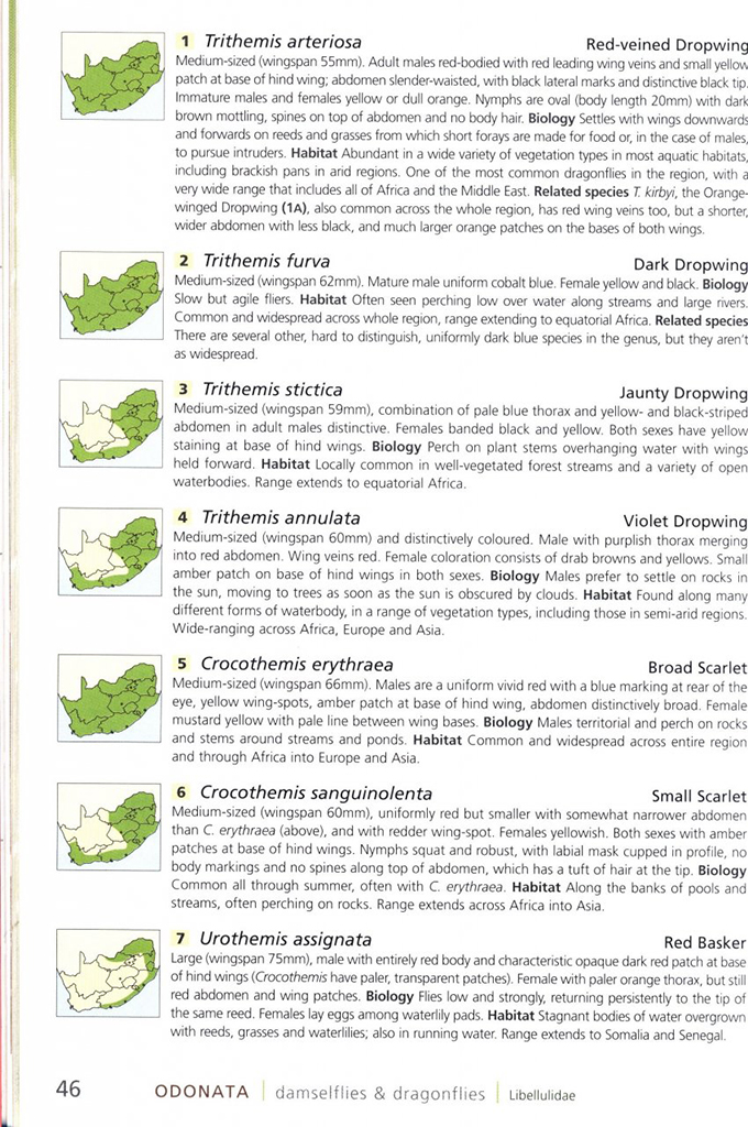 A FIELD GUIDE TO INSECTS OF SOUTH AFRICA. UPDATED 2004. THE FIRST COMPREHENSIVE GUIDE TO AFRICAN INSECTS WITH FULL-COLOUR PHOTOGRAPHS OF OVER 1200 SPE 3