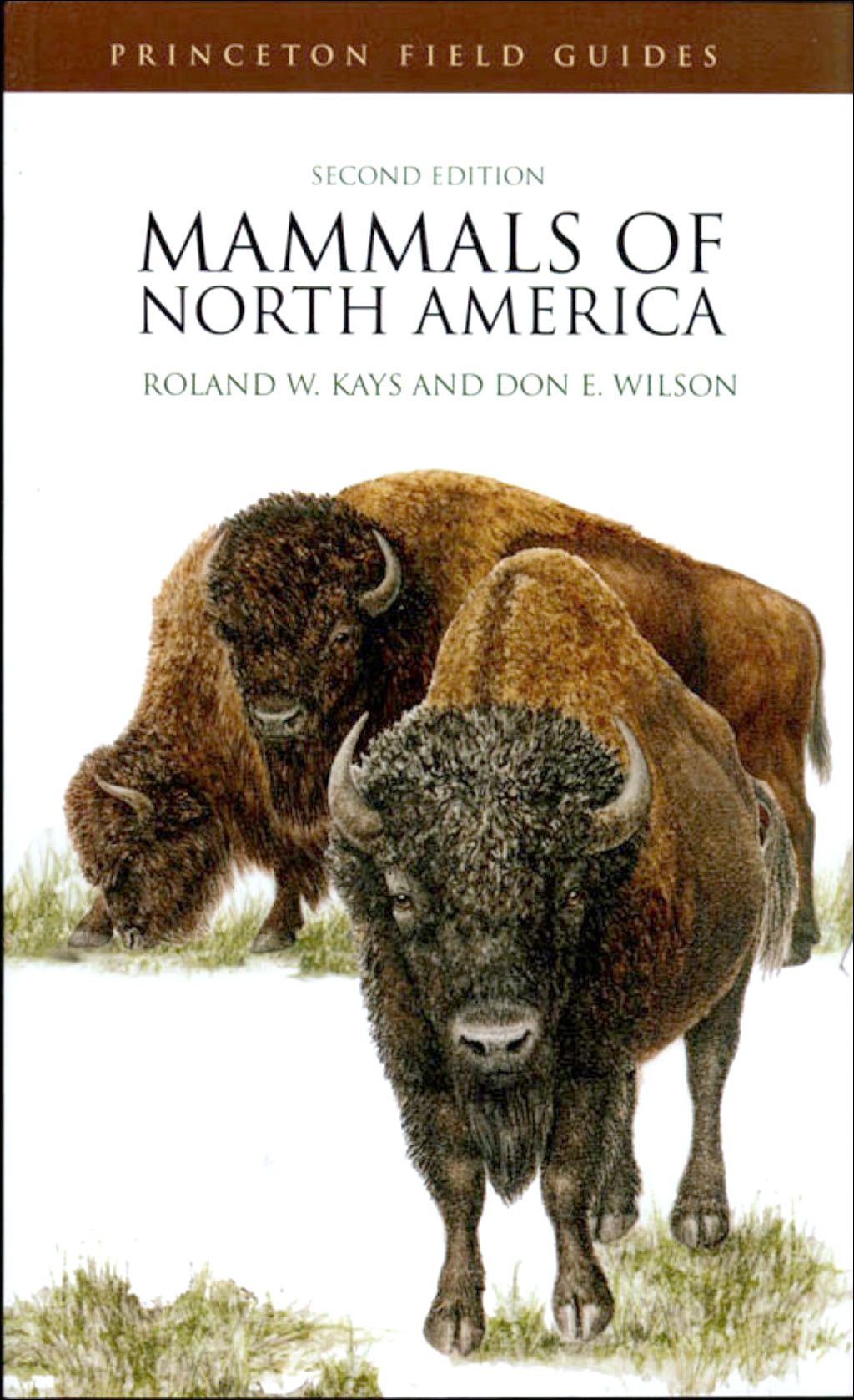 MAMMALS OF NORTH AMERICA
