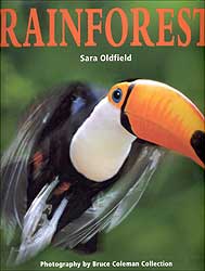 RAINFOREST. PHOTOGRAPHY BY BRUCE COLEMAN COLLECTION