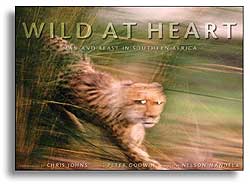 WILD AT HEART. MAN AND BEAST IN SOUTHERN AFRICA 1