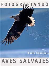 FOTOGRAFIANDO AVES SALVAJES