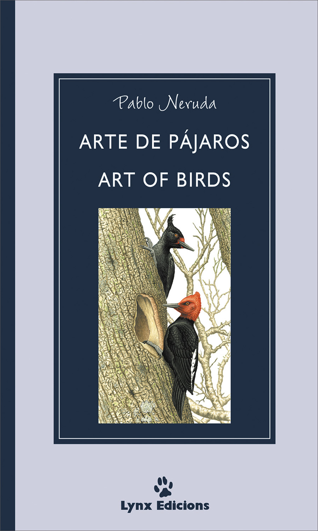 ARTE DE PÁJAROS