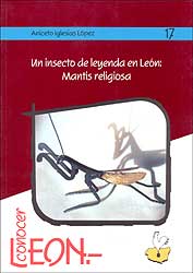 UN INSECTO DE LEYENDA EN LÉON: MANTIS RELIGIOSA 1