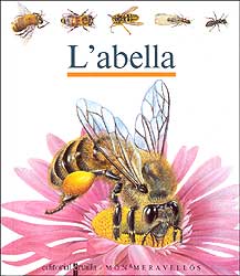 L'ABELLA