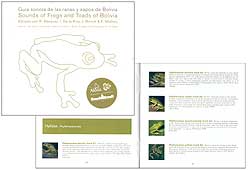 CD GUÍA SONORA DE LAS RANAS Y SAPOS DE BOLIVIA (2CD) 1