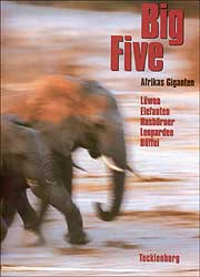 BIG FIVE 1