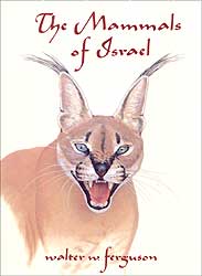 MAMMALS OF ISRAEL 1