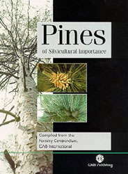 PINES OF SILVICULTURAL IMPORTANCE 1