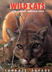 WILD CATS. LYNX, BOBCATS, MOUNTAIN LIONS 1