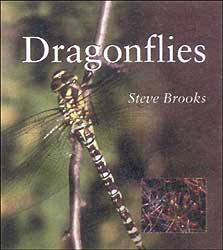 SMITHSONIAN'S NATURAL WORLD SERIES. DRAGONFLIES 1
