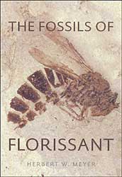 THE FOSSILS OF FLORISSANT