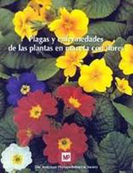 PLAGAS Y ENFERMEDADES DE PLANTAS EN MACETA CON FLORES 1