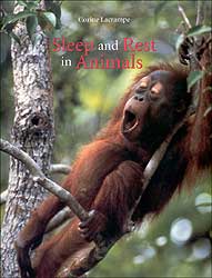 SLEEP AND REST IN ANIMALS
