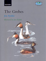 BIRD FAMILIES OF THE WORLD. THE GREBES 1