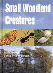 SMALL WOODLAND CREATURES 1