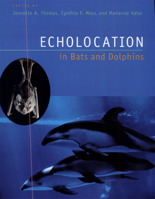 ECHOLOCATION IN BATS AND DOLPHINS