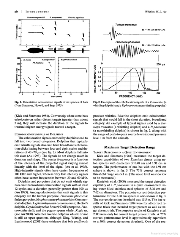 ECHOLOCATION IN BATS AND DOLPHINS 2