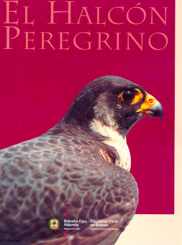 EL HALCÓN PEREGRINO                                                                                                                                    1