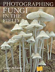 PHOTOGRAPHING FUNGI IN THE FIELD 1
