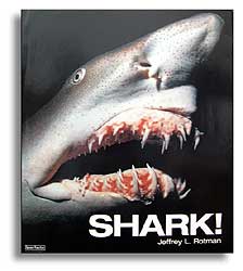 SHARK!