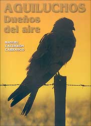 AGUILUCHOS DUEÑOS DEL AIRE 1