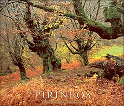 PIRINEOS. TIERRA EN EL AIRE 1
