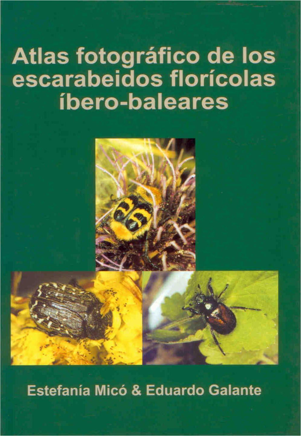 ATLAS FOTOGRÁFICO DE LOS ESCARABEIDOS FLORÍCOLAS ÍBERO-BALEARES (COLEOPTERA SCARABAEIDAE) 1